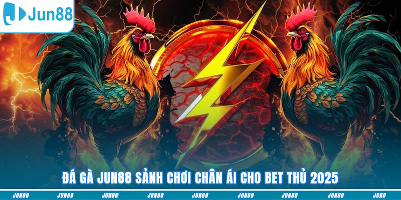 Đá gà JUN88 sảnh chơi chân ái cho bet thủ 2025