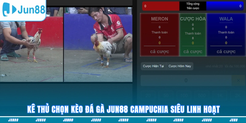 Kê thủ chọn kèo Đá gà JUN88 Campuchia siêu linh hoạt