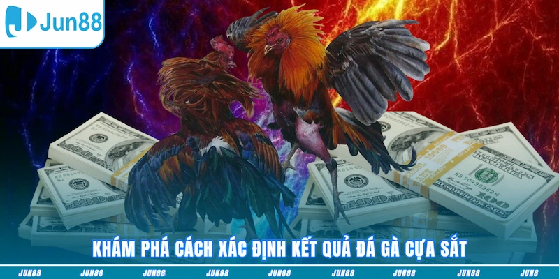 Khám phá cách xác định kết quả đá gà cựa sắt