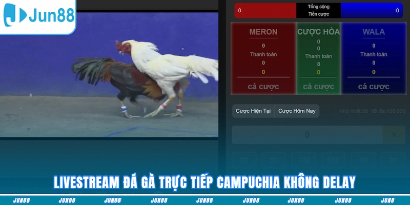 Livestream đá gà trực tiếp Campuchia không delay