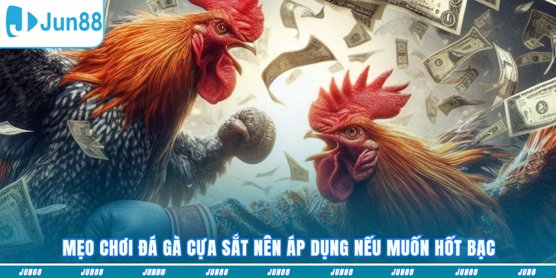 Mẹo chơi đá gà cựa sắt nên áp dụng nếu muốn hốt bạc