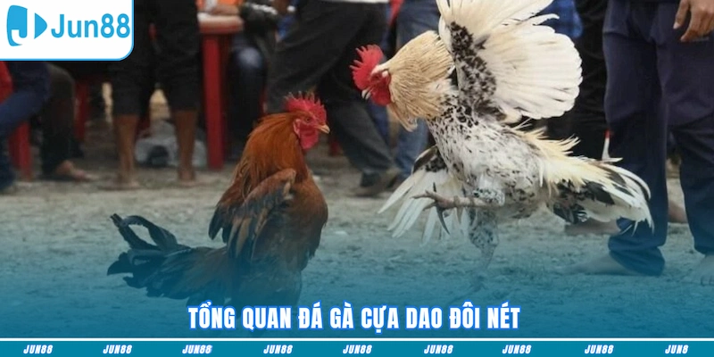 Tổng quan đá gà cựa dao đôi nét