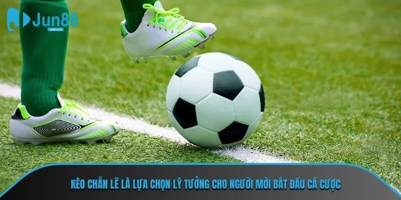 Kèo chẵn lẽ là lựa chọn lý tưởng cho người mới bắt đầu cá cược