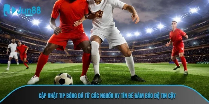 Cập nhật tip bóng đá từ các nguồn uy tín để đảm bảo độ tin cậy